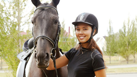 How to Start a Successful Horse Boarding Business FEATURED