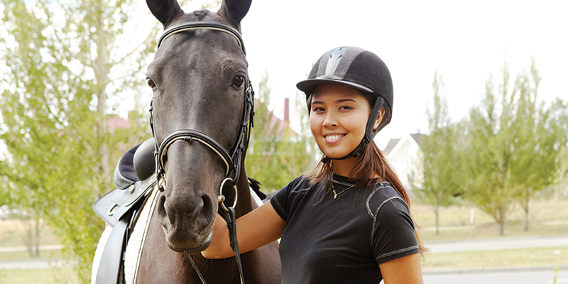 How to Start a Successful Horse Boarding Business FEATURED
