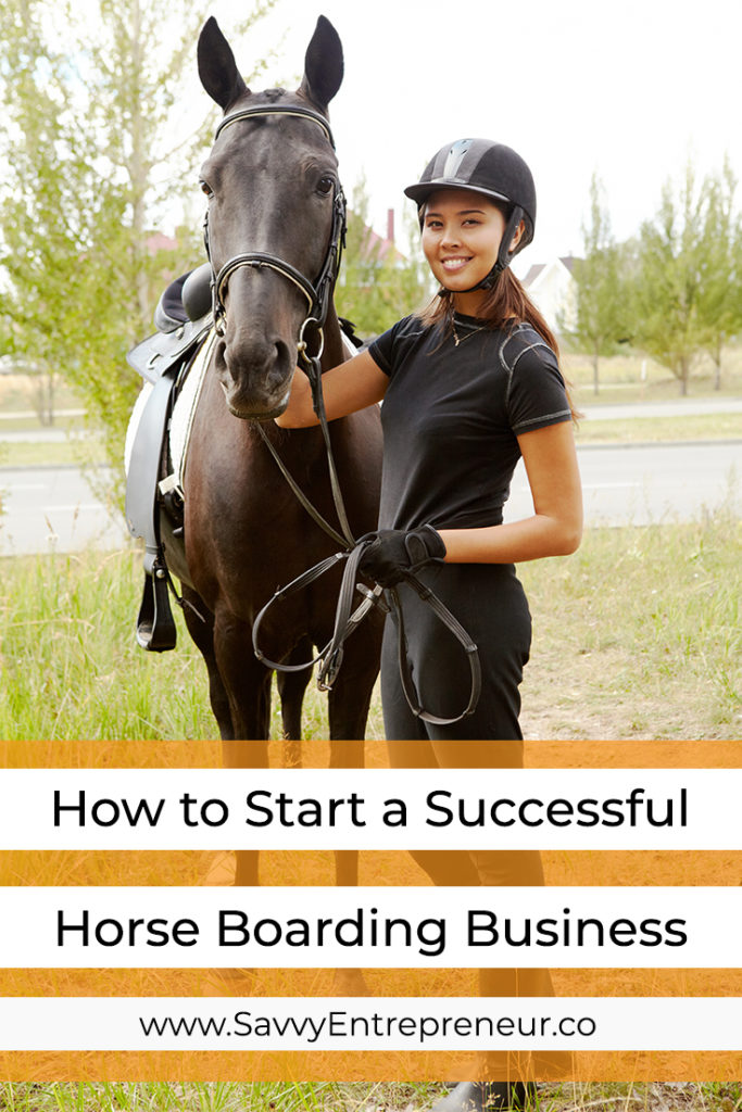 How to Start a Successful Horse Boarding Business PINTEREST